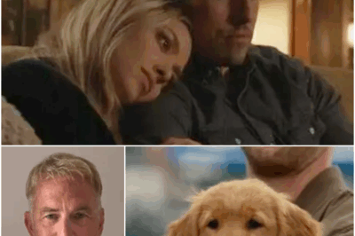 Emotional Kevin Costner Film on Netflix Has Viewers in Tears