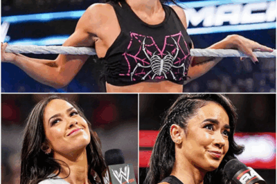 Did AJ Lee Lie About Getting Therapy? Upsettling Allegation From WWE Legend Explained