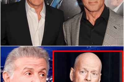 Sylvester Stallone FINALLY Confirms Why He Refused to Work With Bruce Willis Again