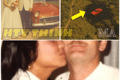 🦊 Bride, Groom, and a One-Way Ride to Darkness 💔 Driver’s Shocking Confession After 20 YEARS of Silence 👇