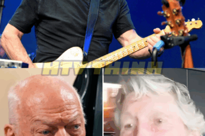 David Gilmour CALLS OUT Roger Waters For BLASTING Ozzy Osbourne During Scathing Rant