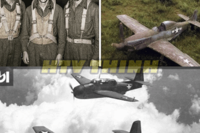 3 Fighter Pilots Vanished In 1944 — 75 Years Later, Their Planes Were Found Almost Intact…