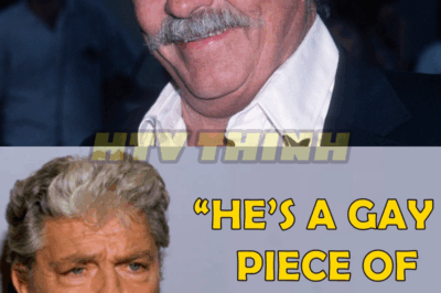 The Life and Legacy of Dale Robertson: A Hollywood Cowboy with a Strong Moral Compass