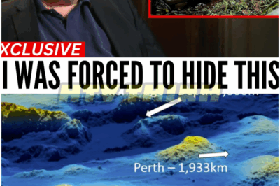 🐿️ “I Found Out Where MH370 REALLY Is” 💥 — At 75, Richard Godfrey Stuns the World With Explosive Proof About the Vanished Flight, Unveiling Shocking Claims, Hidden Evidence, and a Revelation That Could Rewrite Aviation History Forever ✈️🔥