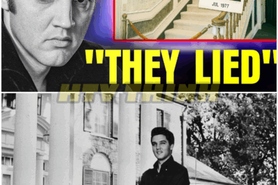 🐿️ The Surprising REASON Why No One Is Allowed Upstairs At Elvis’ Graceland 😱🏰 – Secrets, Superstitions, And Hidden Truths Behind The Iconic Mansion’s Most Mysterious Restriction Revealed After Decades Of Speculation 💥👑