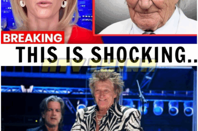 🐿️ At 80, The Tragedy of Rod Stewart Is Beyond Heartbreaking 😱💔 — Rock Icon’s Painful Struggles, Hidden Sorrows, and Shocking Confessions Shatter the Glamorous Illusion of Stardom and Leave Fans Reeling With Sympathy for the Legend Who Gave Everything to Music 🎤✨