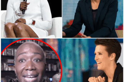 🦊PANIC at NBC: Maddow’s Underground News Network Has Executives SCREAMING 💻👇