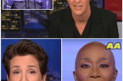 🦊 SHOCKING BETRAYAL: Maddow SLAMS MSNBC for Silencing Diverse Voices — What She Said Left Executives STUNNED 😳
