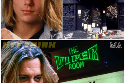 🦊 Johnny Depp’s DEADLY Bar: The Viper Room’s Curse Lives On—Fame, Overdoses & Vanishing Fortunes! ☠️👇