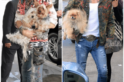 🦊 STEVEN TYLER’S DARK, DEADLY SECRET REVEALED — How Addiction, Betrayal, and Explosive Feuds Nearly Tore Aerosmith Apart Forever! 😱