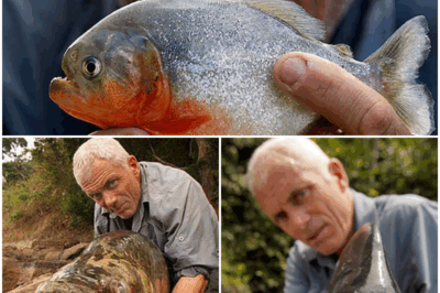 Jeremy Wade’s Harrowing Near-Death Moments: The Untold Perils of Hunting Amazonian River Beasts