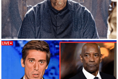 🐘 Beyond The Spotlight: Denzel Washington’s 70th Year Marred By Unthinkable Tragedy And Betrayal 🔥 — Uncover the explosive truth behind the man who captivated millions, whose personal life is now a battlefield of heartbreak, lies, and shocking twists that will leave you gasping. “Fame is a cruel mistress, and Denzel’s story proves it mercilessly.” 👇