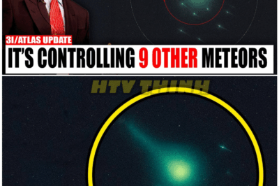 🦊 Michio Kaku REVEALS: 9 Mysterious Objects ESCORTING 3I/ATLAS Through Our Solar System – NASA STAYS SILENT! 🚨🛸