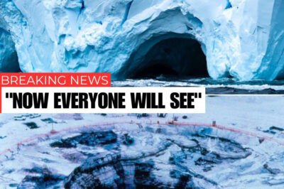 Scientists detect eerie radio waves beneath Antarctica’s ice—fueling theories of a hidden alien base sending signals through frozen silence.