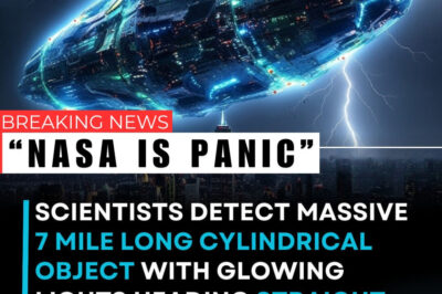 The Chronology of First Contact: A Seven-Mile Truth