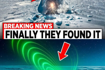 The Antarctic Anomaly: Project Chimera and the Reveal of the 12,000 BC ‘Stargate’