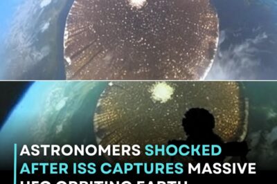 The Black Sentinel: The Final Proof That Humanity Is Not Alone