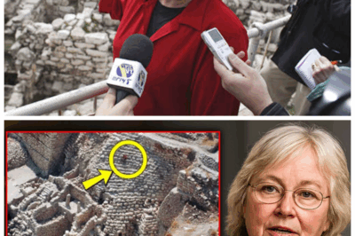 💔 Eilat Mazar’s Heartbreaking Last Words: “They Tried to Silence Me, But I Found the Truth in David’s Palace!” 💔 In a dramatic and emotional confession, the legendary archaeologist exposed a hidden truth that powerful forces wanted buried forever — a secret chamber filled with artifacts that challenge everything we thought we knew about King David’s legacy. What dark forces tried to keep her quiet? What forbidden knowledge did she unearth that could ignite a firestorm of controversy and rewrite the ancient narrative forever? The palace’s shadows are alive with secrets! 👇
