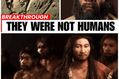 Unveiling the Secrets of Neanderthal DNA: What It Means for Us Today