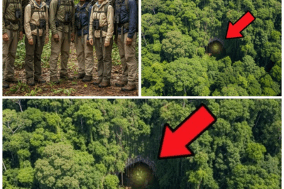 The Jungle Mystery: What Drones Discovered After 12 Years Will Shock You!