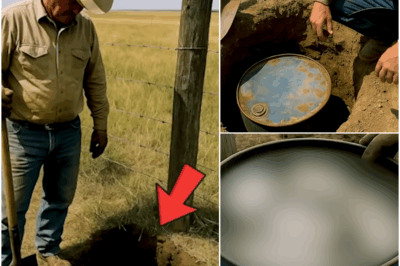 Rancher Struck Metal While Setting Up Fence, Gut Told Him to Keep Digging…
