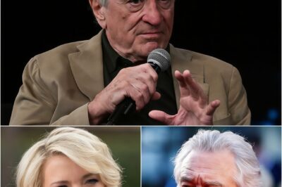 Robert De Niro Silences Megyn Kelly With Eight Words That Shook Live TV