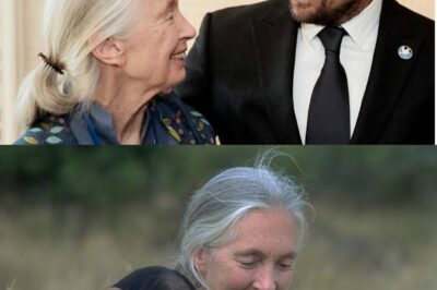 The Enduring Legacy of Jane Goodall: A Call to Action for Our Planet