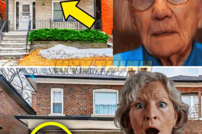 96-Yr-Old-Woman Sold Her Home & Warns Family Not To Open Basement. What They Find Inside Is Shocking