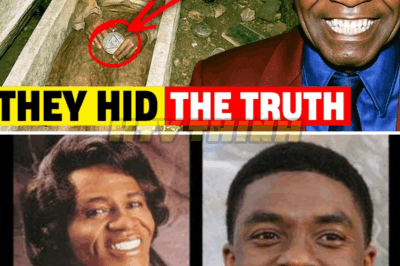 After 19 Years, James Brown’s Tomb Was Opened And The Shocking Truth Was Finally Revealed
