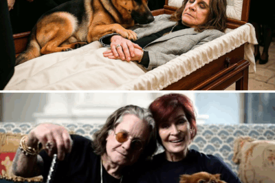 At Ozzy Osbourne Funeral, His Dog Jumped Onto This Body. What Happened Next Shocked Everyone