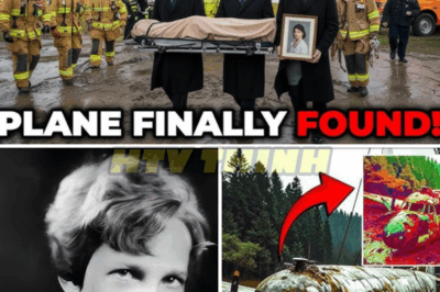 After 88 Years, Amelia Earhart’s Plane Was FINALLY Found!