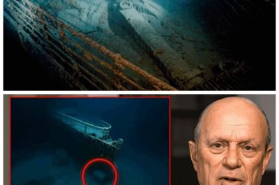🕯️ “I Saw Something No One Else Could Handle…” Titanic Discoverer Robert Ballard’s Final Confession Sends Chills Down Our Spines! ❄️ As the clock ticks on his life, Ballard unveils a terrifying secret from the ocean floor—”It wasn’t just wreckage; it was a warning.” What spectral enigma did he encounter that has haunted him ever since? Get ready for a heart-stopping journey into the eerie depths where history and horror collide in the Titanic’s shadow! 👇