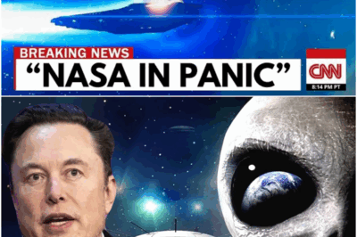 GLOBAL SHOCK: NASA Confirms Alien Life — Elon Musk Stunned as Humanoid Creatures Emerge from a Mᴀssive Spacecraft Hovering in Earth’s Orbit: “These monsters didn’t come to communicate… they came to judge whether we still DESERVE TO EXIT!”
