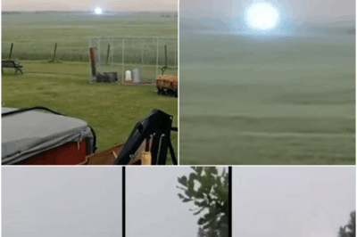 A huge glowing sphere appeared without warning over Alberta—residents watched in awe as it hovered, then vanished without a trace.