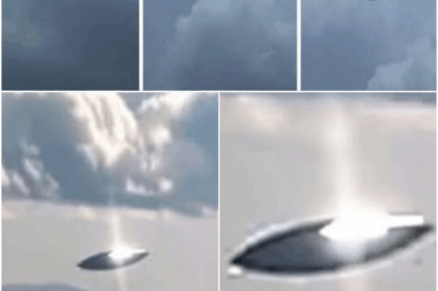 A flying saucer appeared over Tamaulipas, Mexico—hovering in silence before darting away, leaving witnesses stunned and speculation of alien origins swirling