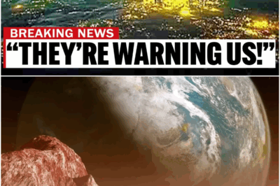 JUST NOW: The James Webb Telescope Revealed Shocking Proxima B Sights!