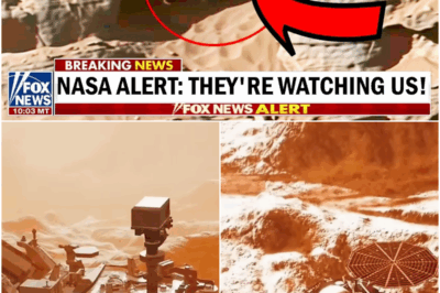 NASA’s Rover Detected an UNKNOWN CREATURE Moving on Mars!