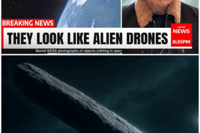 BREAKING: The Shocking Truth About 4 Mysterious Inbound Objects That Could Change Everything We Know About Our Universe! Are They Friends or Foes?