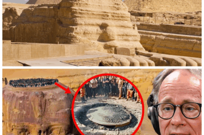 😱🔍 207 Years in the Making: Scientists Open SPHINX’s Secret Hatch and Unearth a Scandal That ROCKS Egyptology! 📜🔥 The Sphinx has finally revealed its hidden hatch after 207 years of silence, exposing secrets that will shake the foundations of history. What was buried inside challenges everything we thought we knew—ancient betrayals, forbidden knowledge, and a mystery so explosive it could rewrite the story of human civilization forever! The hunt for truth just turned into a high-stakes thriller! 👇