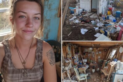 Recently divorced woman moves into 10’x11′ shed and coverts it into lovely tiny home