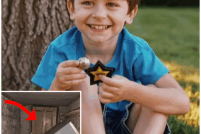 🐻 Six-Year-Old Vanished in 1987 — 36 Years Later, a Basement Wall Revealed the Truth No One Was Ready For