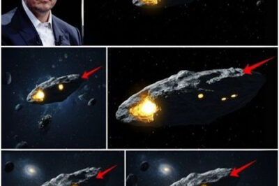 Shocking Disclosure: 3I ATLAS is Not an Asteroid, But a Gigantic Alien Warship — A Dire Message to Mankind: ‘Flee Now or Face Annihilation!