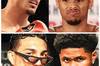 🐘 The War of Words Between Shakur Stevenson & Teofimo Lopez Flashes Back to Life With Fiery Insults and a Fight Announcement Looming! 🔥 Uncover the bitter rivalry and explosive insults fueling the tension—“Nothing builds hype like a good old-fashioned ‘Sorry Ass MF’ showdown!” 🥊👇