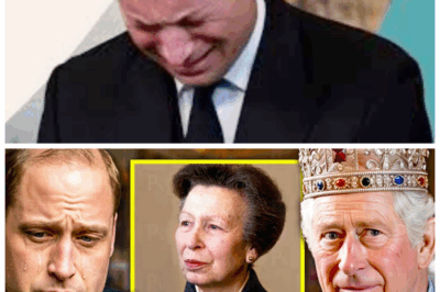 🐘⚡ Prince William’s Collapse Reveals King’s Final, Dark Request From Princess Anne—A Royal Bombshell No One Saw Coming! 💣 “Because even royalty can’t escape the weight of truth.” 👇When Princess Anne delivered the King’s last wish, Prince William’s world crumbled in a shocking display of vulnerability, igniting a royal drama filled with betrayal, secrets, and a legacy hanging by a thread.