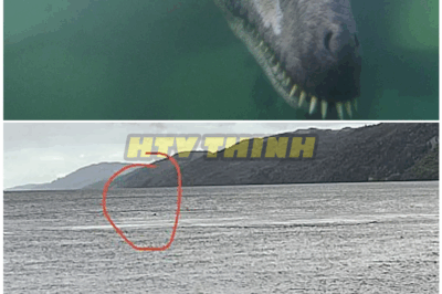 🦊 “10 Chilling Encounters With the Loch Ness Monster That Were Caught, Covered Up, and Forgotten — Until Now 👁️🦕”