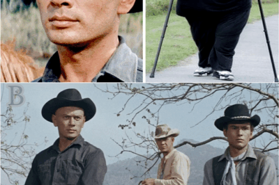 🎬🤠 “The Magnificent Seven: Where Are They Now? The 1960 Western Legends Who Changed Hollywood Forever”