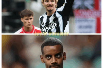 👑 Why Is Woltemade Even MORE DANGEROUS Than Isak Right Now? ⚽