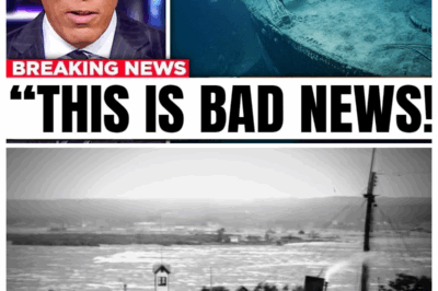 Underwater Drone Reached the SS Edmund Fitzgerald, It Captured Something No One Anticipated