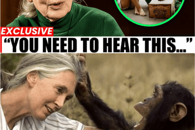 Before She Died, Jane Goodall Shared One Final Wish—And It’s Absolutely Heartbreaking