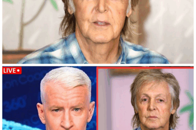 🐘 The Heartbreaking Family Drama Behind Paul McCartney’s Multi-Million Dollar Legacy! 💸⚡ The beloved musician’s vast fortune has become a curse, igniting fierce battles and heartbreaking betrayals that threaten to tear his family apart forever. What seemed like a dream inheritance has turned into a nightmare of greed and sorrow. “Even the greatest legends can’t escape family drama.” Get ready for the emotional rollercoaster! 👇